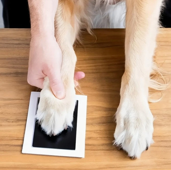 Quadro Meu PET